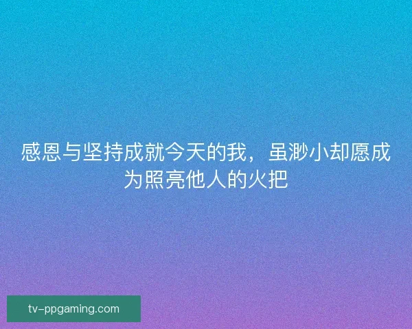 感恩与坚持成就今天的我,虽渺小却愿成为照亮他人的火把 感恩与坚持成就今天的我,虽渺小却愿成为照亮他人的火把