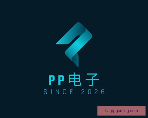 了解PP电子